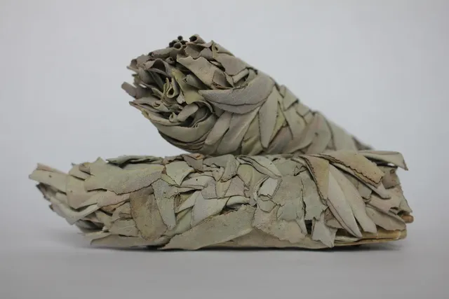 Image of White Sage Smudges 